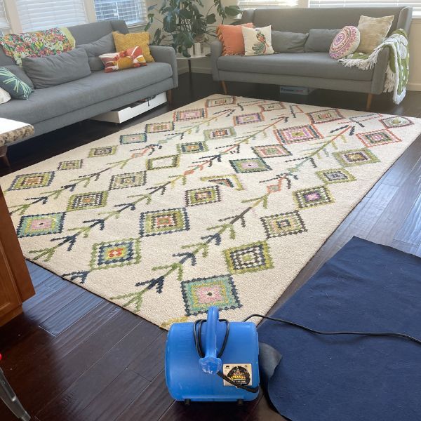 Area Rug Cleaning Results