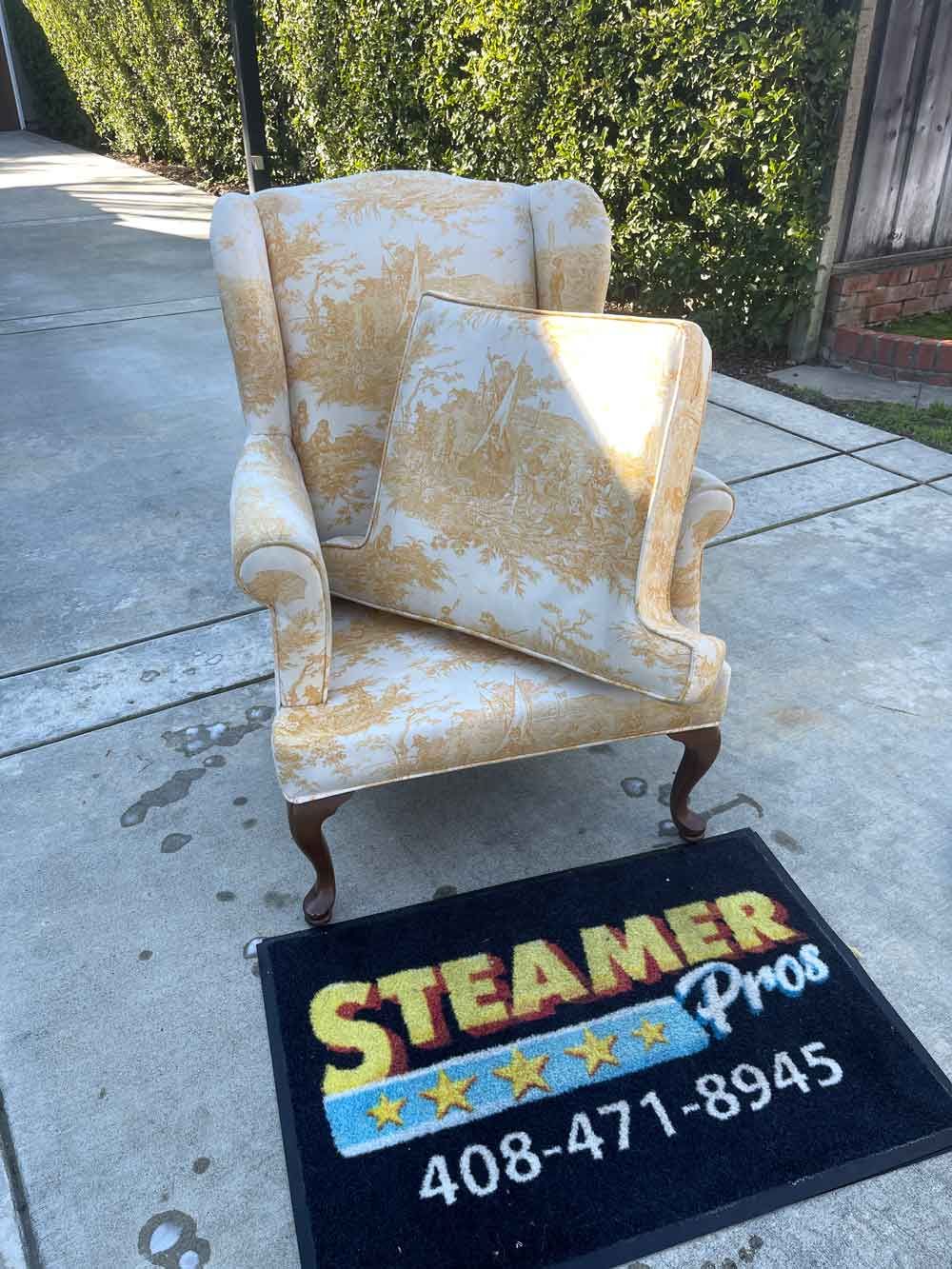 Steamer Pros Upholstery Cleaning