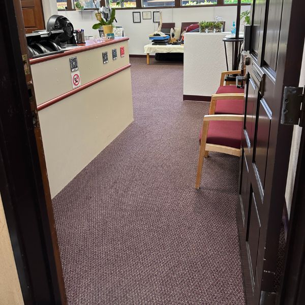 Best Commercial Carpet Cleaning Service Results (6)