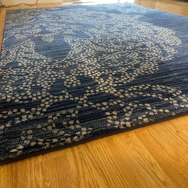 Best Rug Cleaning Results (14)