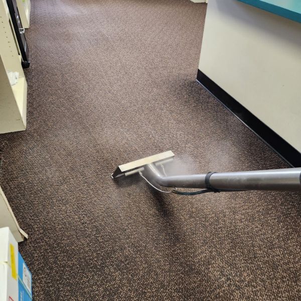 Best Commercial Carpet Cleaning Service Results (12)