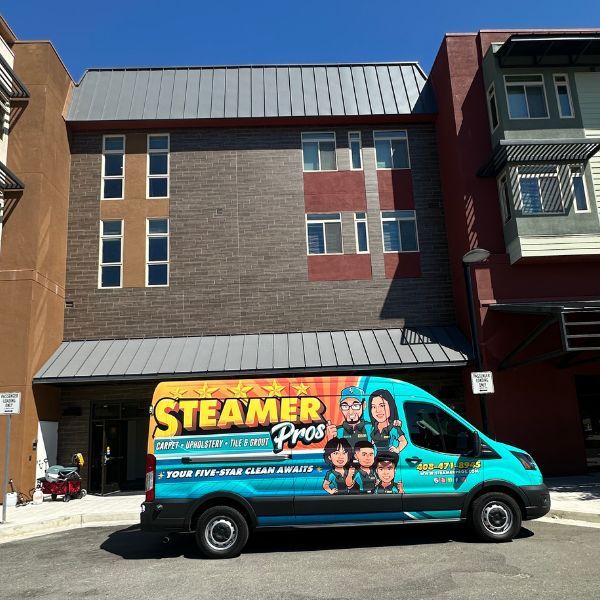 Best Commercial Carpet Cleaning Service Results (3)