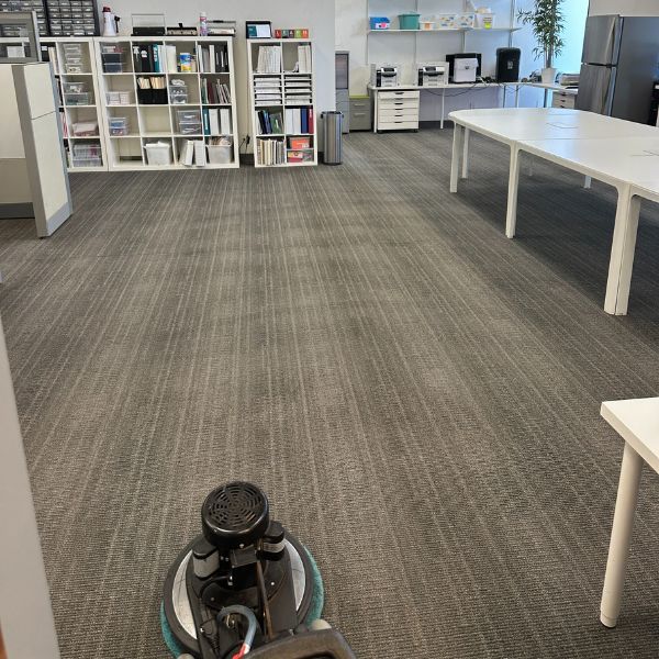 Best Commercial Carpet Cleaning Service Results (7)