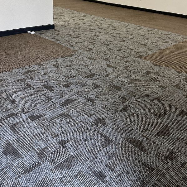 Best Commercial Carpet Cleaning Service Results