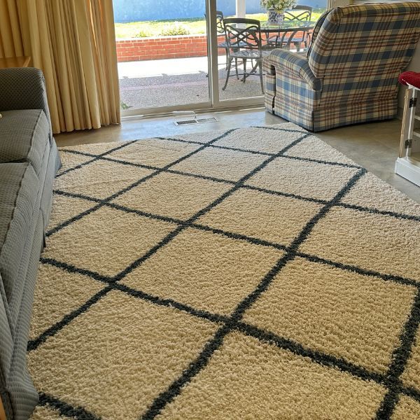 Best Rug Cleaning Results (8)