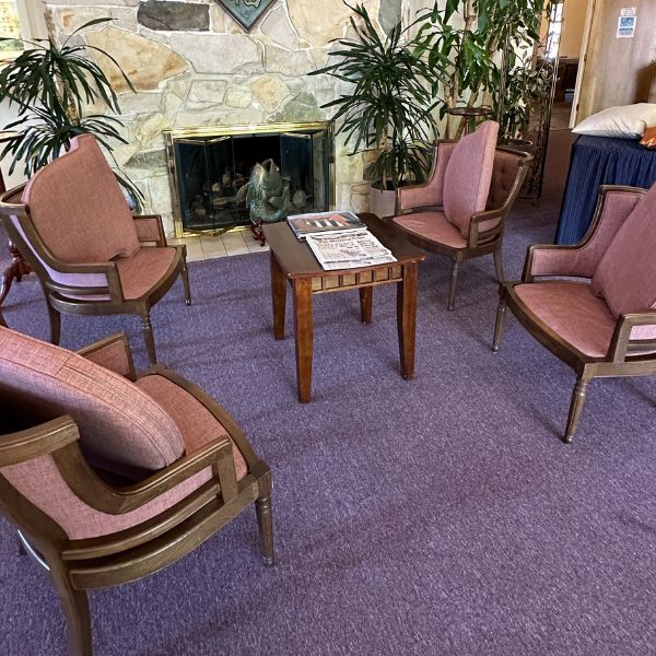 Best Commercial Carpet Cleaning Service Results (10)