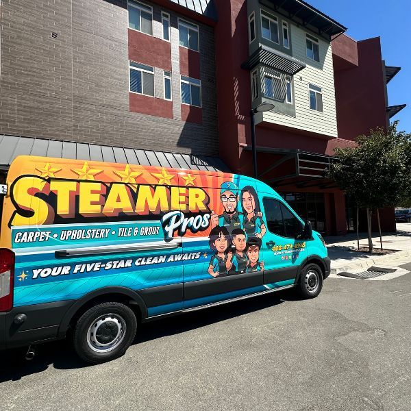 Best Commercial Carpet Cleaning Service Results (2)