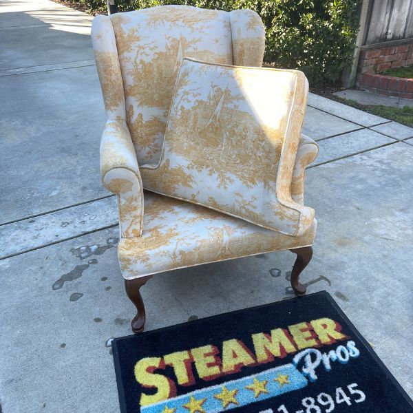 Best Upholstery Cleaning Results (2)