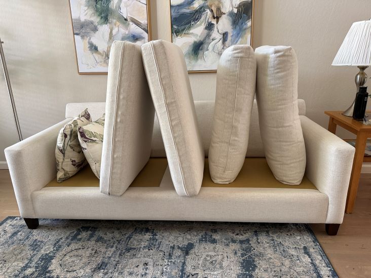 Upholstery Cleaning Case Study
