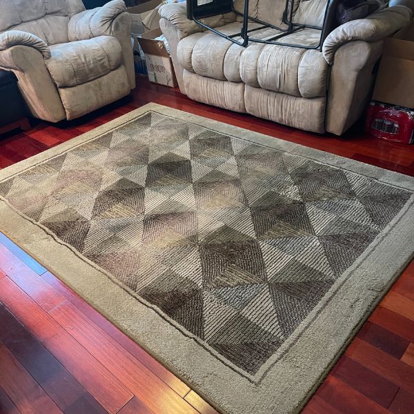 Area Rug Cleaning Before and After