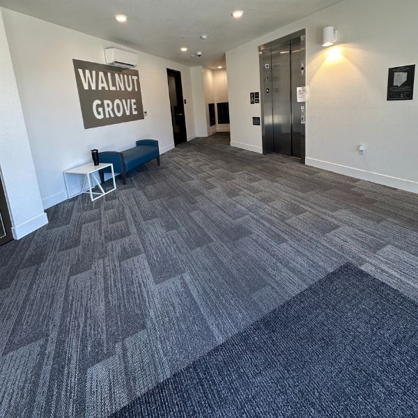 Best Commercial Carpet Cleaning Service Results (4)