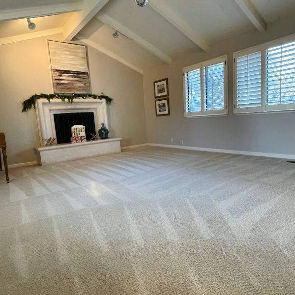 Residential Carpet Cleaning Service