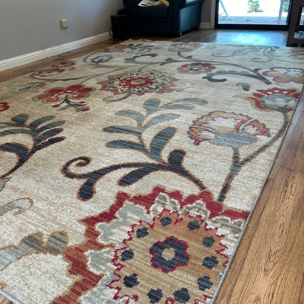 Best Rug Cleaning Results (6)