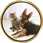 Pet Stain Odor Removal Icon (1)