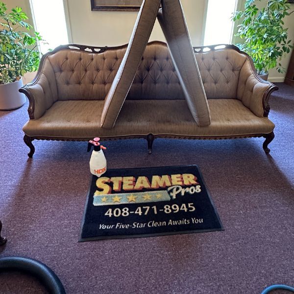 Best Commercial Carpet Cleaning Service Results (9)